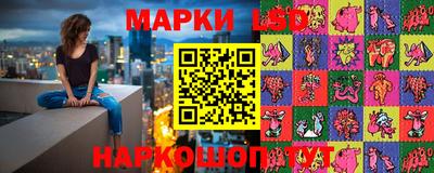 гашик Гатчина