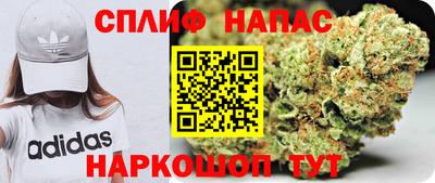 прущие грибы Гагарин