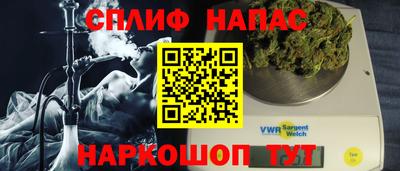 гашик Гатчина