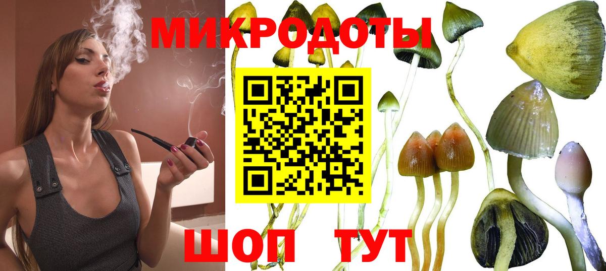 Псилоцибиновые грибы Magic Shrooms  Вход с VPN  Новошахтинск 