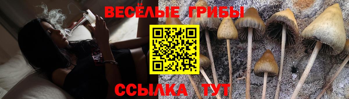 Галлюциногенные грибы MAGIC MUSHROOMS Новошахтинск
